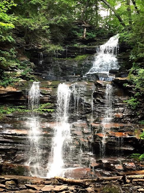 Ricketts Glen State Park - fairyburger