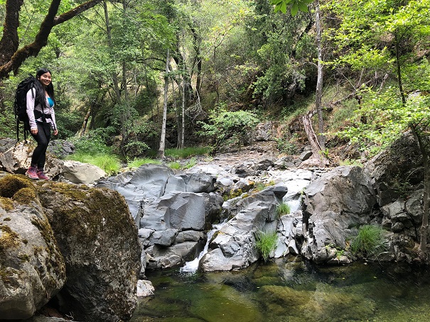 Hiking the Mount Sizer Loop in Henry Coe State Park | fairyburger