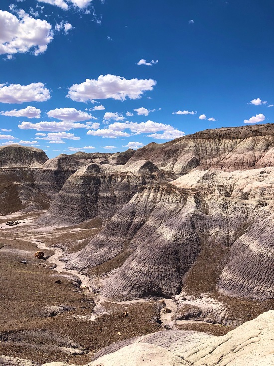 Blue Mesa Trail in Petrified Forest National Park | fairyburger